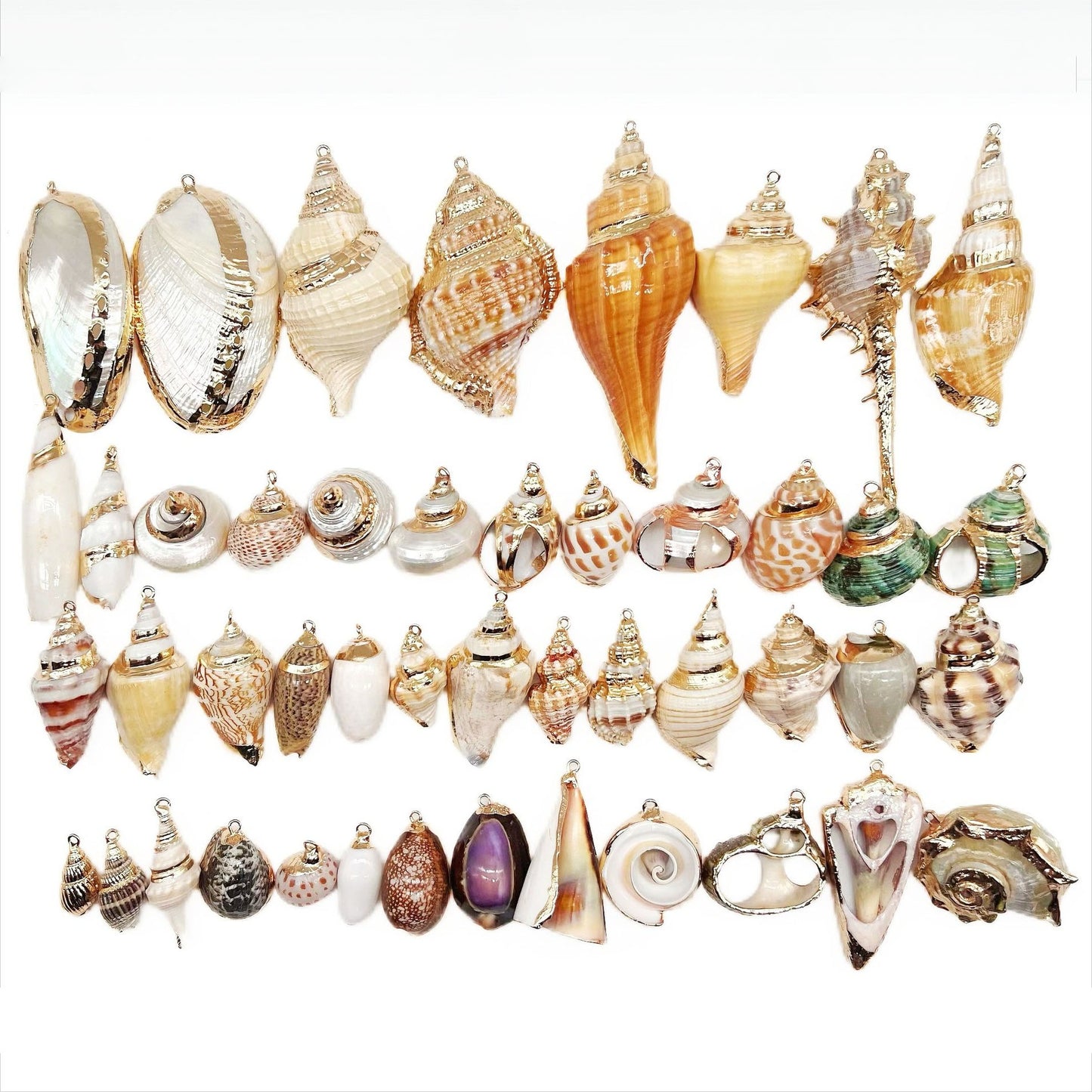 X2293 Natural sea shell with gold-gilded edges pendant for DIY handmade bracelet, necklace, earrings or other decorative accessories. Material: Natural sea shell