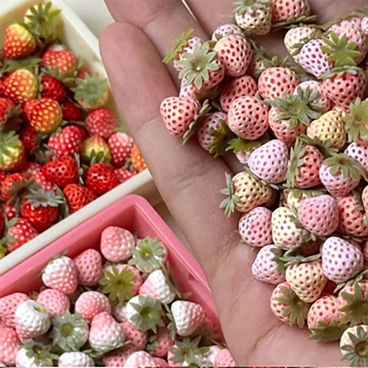 BJD455 30 Days Pre-order 1 Pack with 10 Pieces Handmade Clay Strawberry Assortment, 1 Pack with 10 Pieces, Multi‑Color Pink Red Purple White Gradient Miniature Food Charms for DIY & Dollhouse Decor