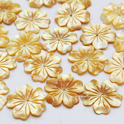 X2425 20mm Natural White Mother of Pearl & Queen Conch Shell 5-Petal Cherry Blossom Charms, Hand Carved Shell Flower Beads for DIY Ancient Hairpins Bracelets Necklaces Earrings, 1 Piece