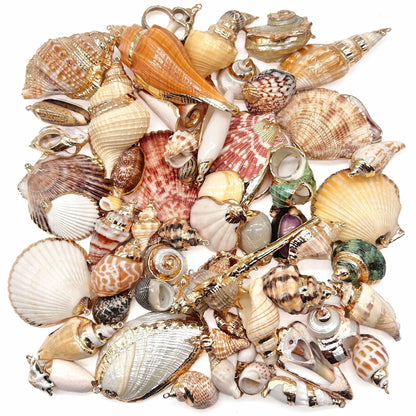 X2293 Natural sea shell with gold-gilded edges pendant for DIY handmade bracelet, necklace, earrings or other decorative accessories. Material: Natural sea shell