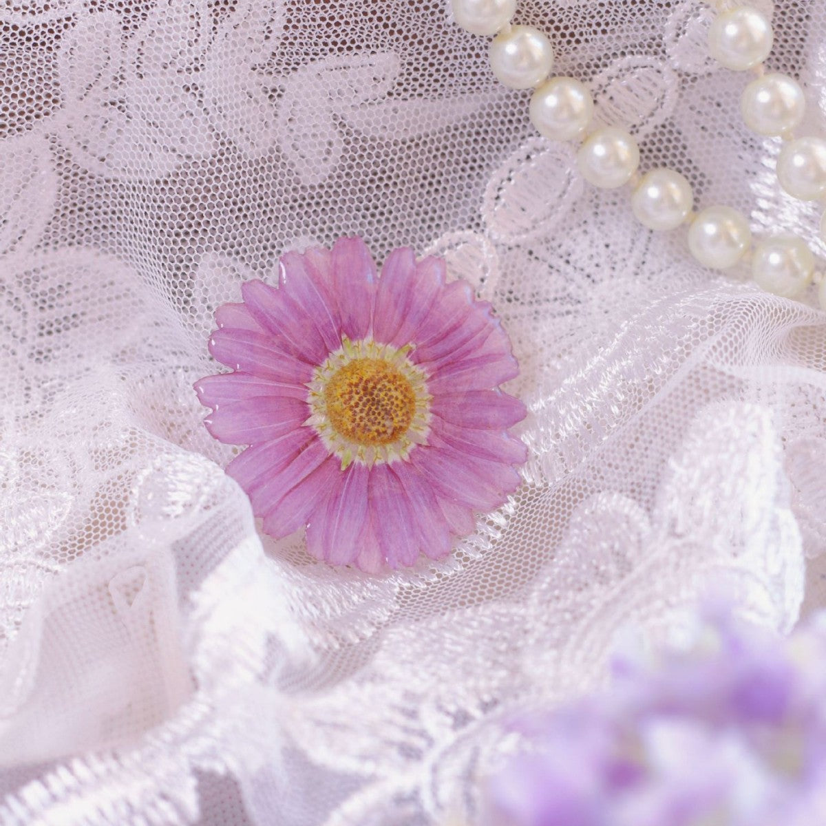 X2326 Margaret Pressed Dried Flowers Glue Dipped Semi-Finished Floral Materials for DIY Brooch Bracelet Necklace Earrings